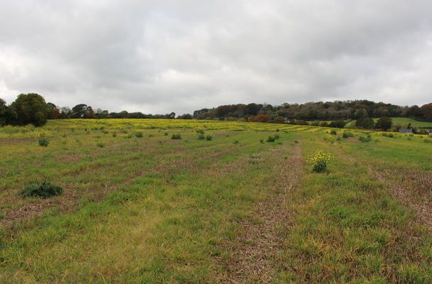 Lease arrangements now the land letting option of choice