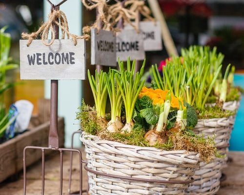 Making the most out of summertime viewings